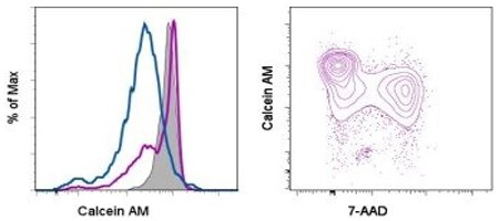 Cell viability in drug-treated thymocytes Decreased viability in drug treated BALB/c thymocytes then scatter plot of live and dead cells