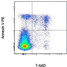 Cell viability on mouse thymocytes Distinct populations of early apoptotic, late apoptotic, and dead cells
