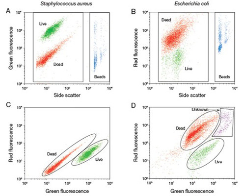 LIVE/DEAD BacLight Bacterial Viability and Counting Kit Distinct populations of green-fluorescent live bacteria and red-fluorescent dead bacteria