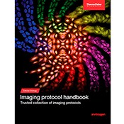 imaging-protocols-handbook-175x175 imaging-protocols-handbook-175x175