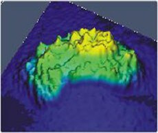 ion indicator ion indicator