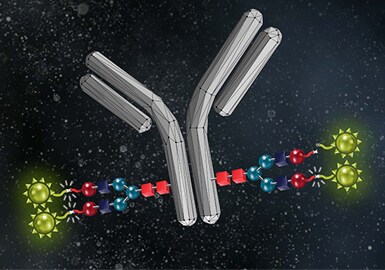 Click chemistry Concept of click chemistry-labeled antibody