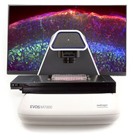 Invitrogen EVOS M7000 Imaging System Invitrogen EVOS M7000 Imaging System