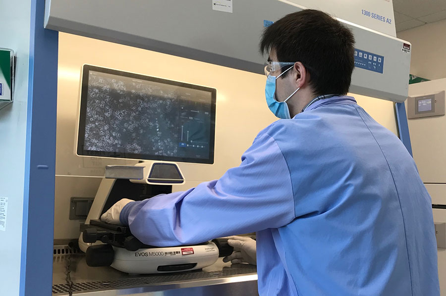 EVOS microscopes include safety features Scientist working with EVOS M7000 in a bio-safety cabinet