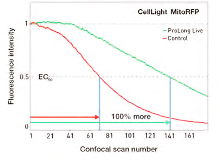Invitrogen ProLong Live Reagent confocal imaging results Invitrogen ProLong Live Reagent confocal imaging results