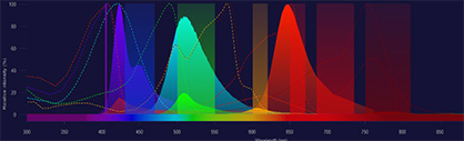 Free panel builder webtool We provide free flow cytometry panel builder tool for self-panel design