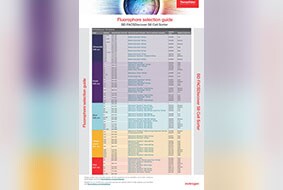 Selection guides decorative image