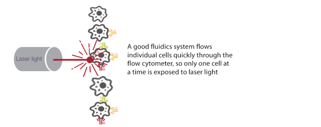 Optical system Optical system