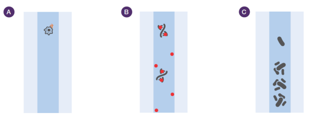 Common contaminants from improper maintenance Common contaminants from improper maintenance