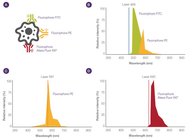 Laser excitation and emission wavelengths of fluorescent dyes Laser excitation and emission wavelengths of fluorescent dyes