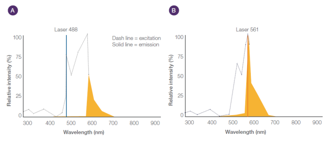 Double excitation maximums Double excitation maximums