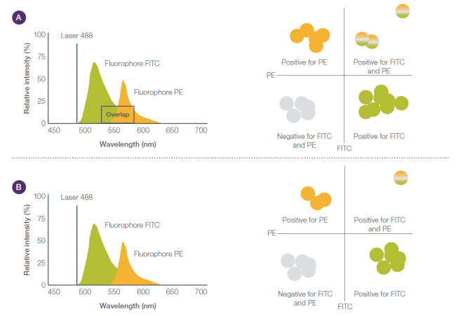 Common contaminants from improper maintenance Common contaminants from improper maintenance