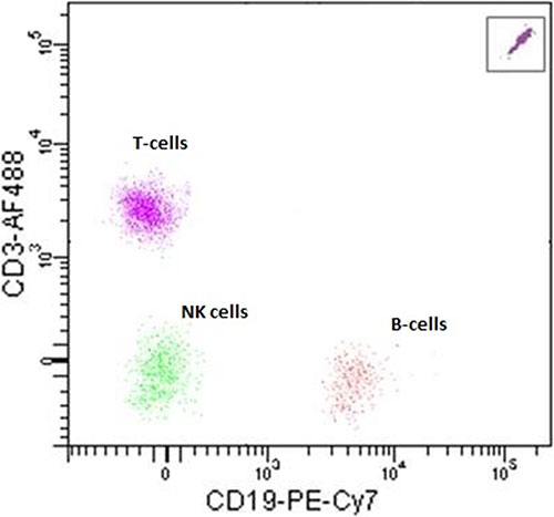 CountBright Plus Absolute Counting Beads are simultaneously on scale with T-, B- and NK cell populations when analyzing whole blood A dot plot image of CD3 Alexa Fluor 488 fluorescence vs CD19 PE-Cy7 fluorescence that has 3 cells types, T-cells, NK cells and B-cells all on scale for FSC/SCC graph.