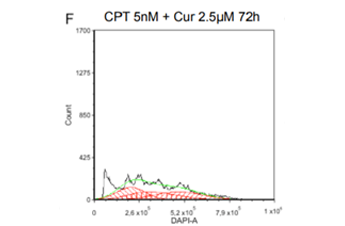 Scientific poster flow cytometry histogram demonstrating disruption of cell cycle by drug