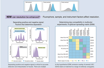 BioProbes article mastering technical aspects of flow cytometry infographic