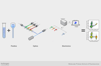 Guided learning schematic of the different components of a flow cytometer