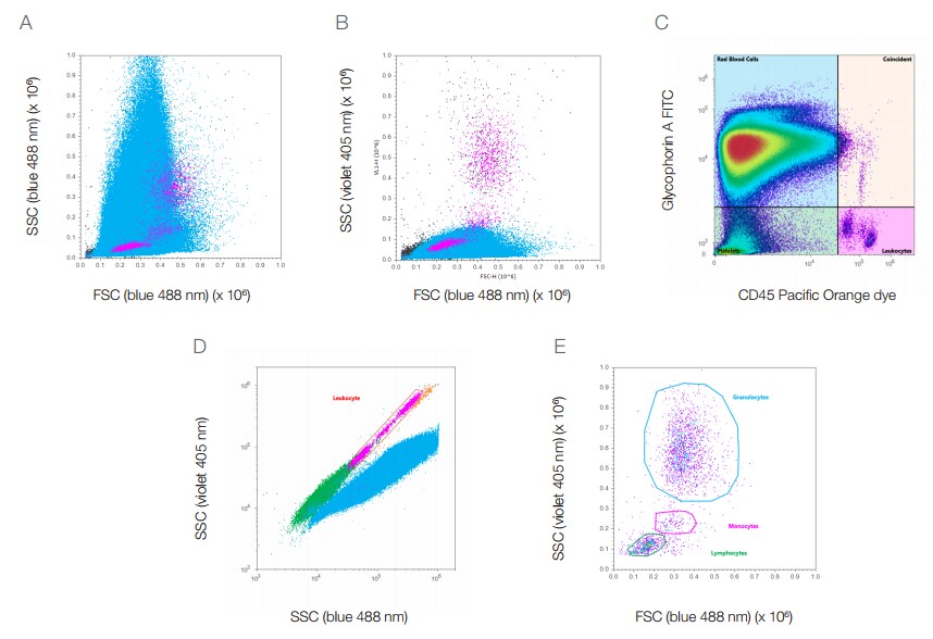 identification_leukocytes identification_leukocytes