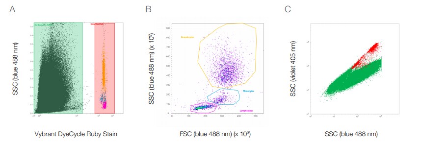 identification-leukocytes identification-leukocytes