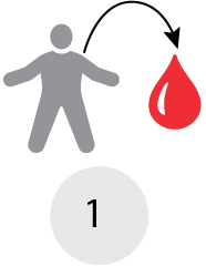 Isolate T cells from donor sample Isolate T cells from donor sample