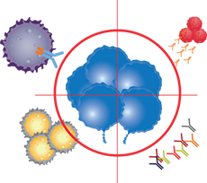Immuno-Oncology Research Using Flow Cytometry Immuno-Oncology Research Using Flow Cytometry