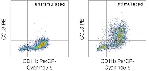 Cellular staining for CCL3 and CD11b Two dot plots, with the left being unstimulated and right being stimulated with a shift of cells to the top right corner