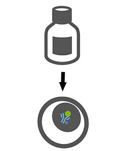 Sample preparation buffer for flow cytometry Graphic art showing a sample preparation
