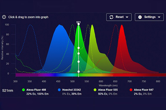 SpectraViewer tool decorative image