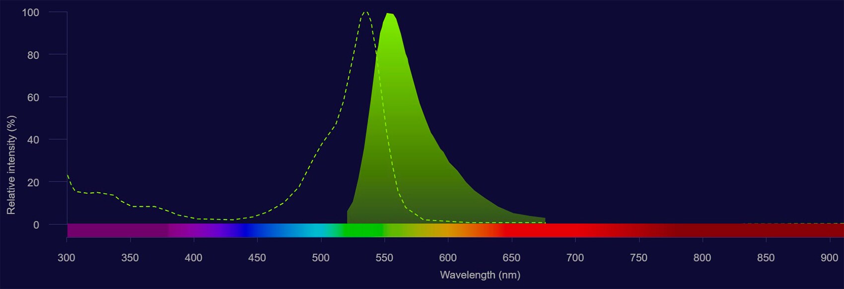 Alexa Fluor 532 spectra Alexa Fluor 532 excitation shown as dotted line and emission shown as solid green-yellow histogram