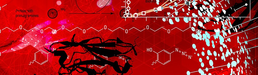 Protein Labeling Reagents Decorative image