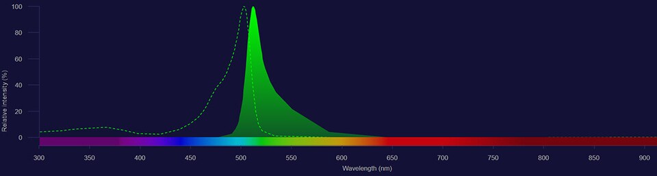 BODIPY FL spectra BODIPY FL excitation shown as dotted line and emission shown as solid green histogram