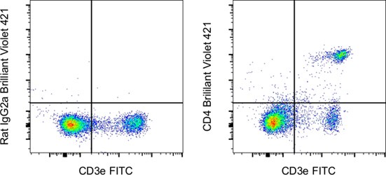 Cell surface staining with BV421 Dot plot of samples stained with IgG2a control vs CD3e-FITC and CD4-BV421 vs CD3e-FITC