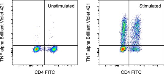 Intracellular staining with BV421 Dot plot of TNF-alpha-BV421 vs CD4-FITC in unstimulated and stimulated cells