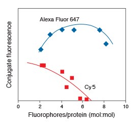 comparative line graph Alexa Fluor 647 has greater fluorescence compared to Cy5