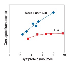 comparative line graph Alexa Fluor 488 has greater fluorescence compared to FITC