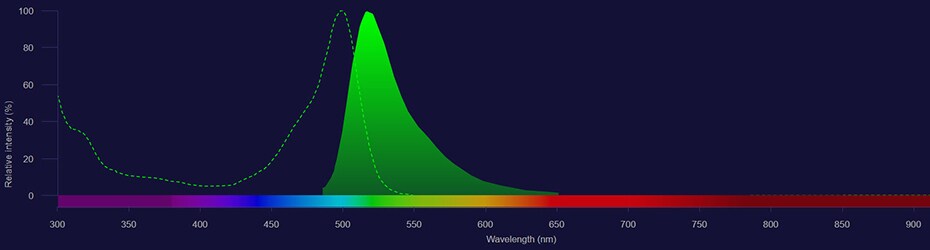 Fluorescein spectra Fluorescein excitation shown as dotted line and emission shown as solid green histogram