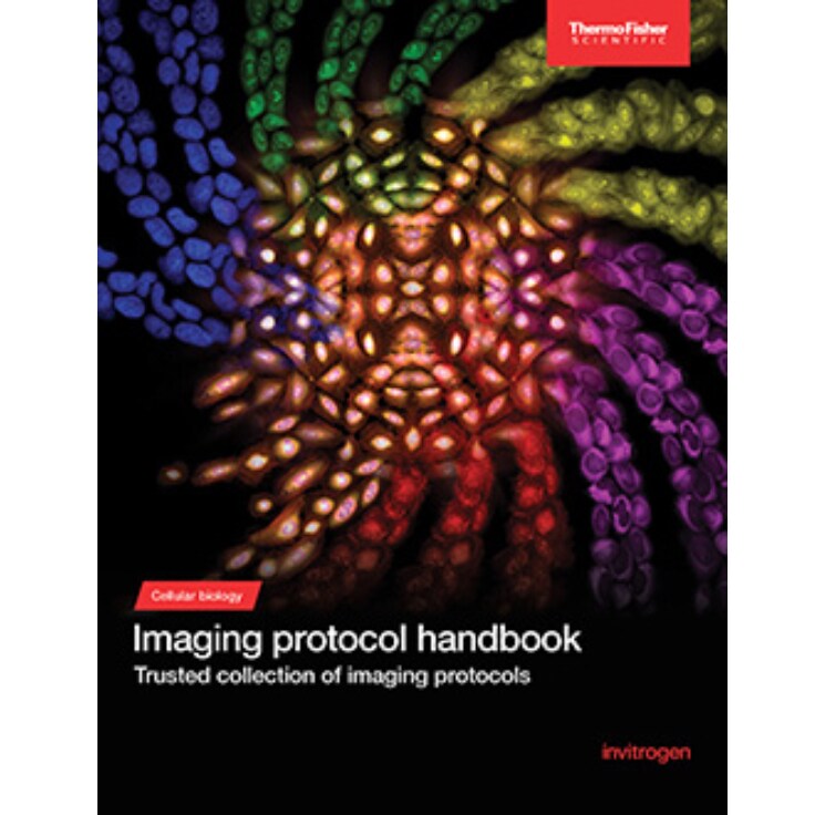 imaging-protocols-handbook-736x736 imaging-protocols-handbook-736x736