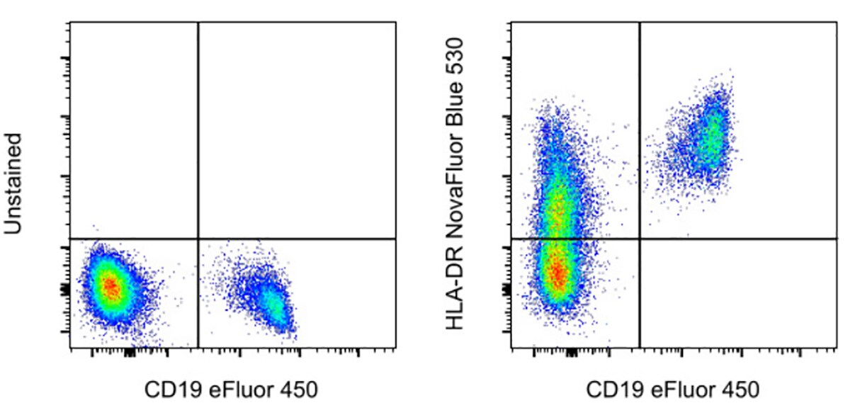 NovaFluor Blue 530 conjugated antibody staining performance with PBMCs 2-panel scatter plots of human PBMCs, unstained vs. CD19-stained and HLA-DR-stained vs. CD19-stained