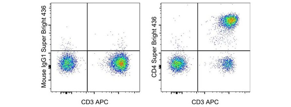 Super Bright 436 conjugated antibody staining performance with human PBMCs 2-panel scatter plots of human PBMCs, IgG1-stained vs. CD3-stained and CD4-stained vs. CD3-stained