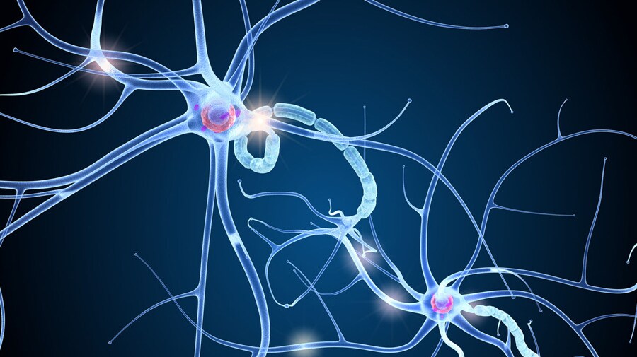 Multiplex neuroscience panels decorative image