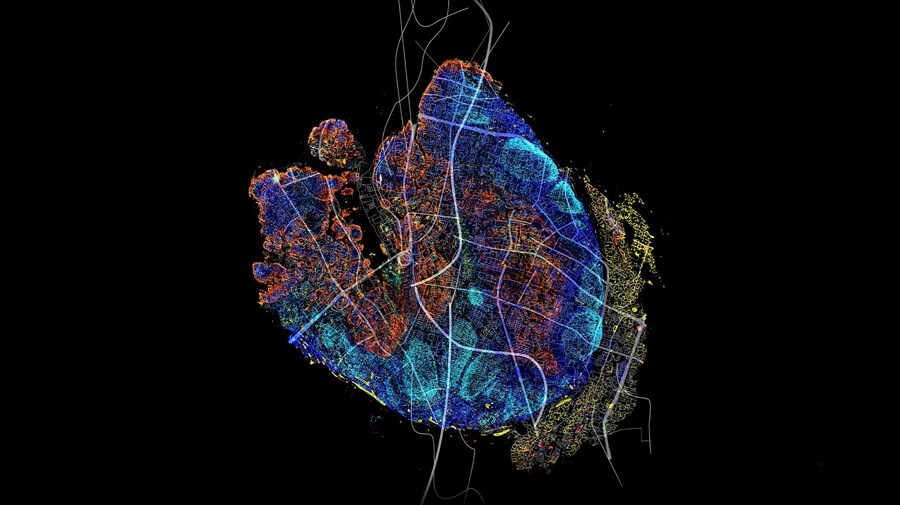 Spectral fluorescence imaging on the EVOS S1000 Spatial Imaging System Microscopic tissue image