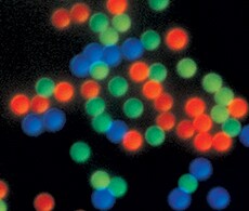 Fluorescent Microspheres Fluorescent Microspheres