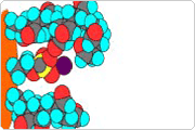 showcase.par.42024.image.0.0.1 Superactive Latex Beads