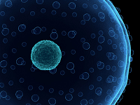 Single cell analysis image for single cell analysis