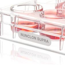 Nunclon Supra surface Nunclon Supra product photo