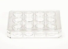 12 well dish A clear cell culture plate with 12 wells