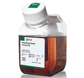 Gibco Premium FBS Gibco Premium FBS bottle