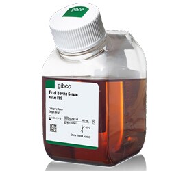 Gibco Value FBS Gibco Value FBS bottle