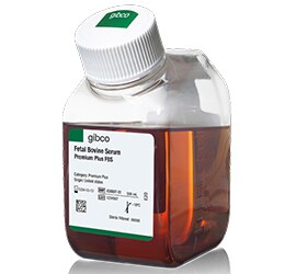 Gibco Premium Plus FBS Gibco Premium Plus FBS bottle