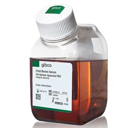 Gibco Specialty FBS Gibco Specialty FBS bottle
