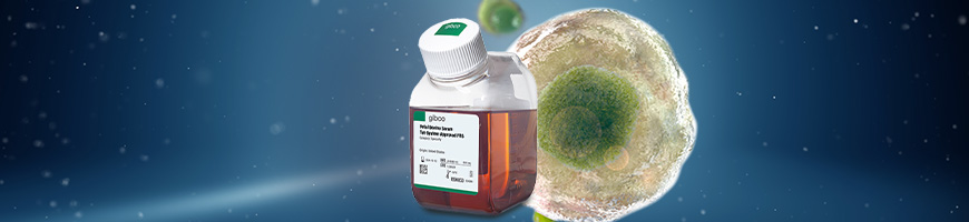 Tet-Free FBS Conceptual art of a tet-free FBS bottle overlayed on a cell
